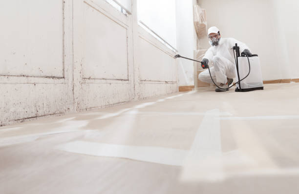 24/7 Emergency Black Mold Remediation experts in Laurel, VA